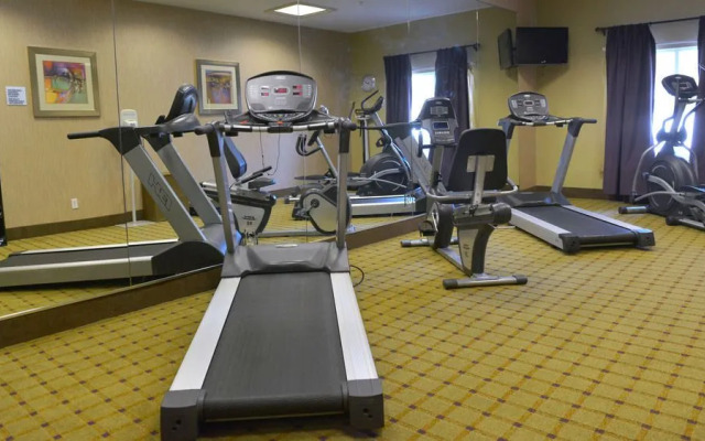 Holiday Inn Express Hotel & Suites Baton Rouge North