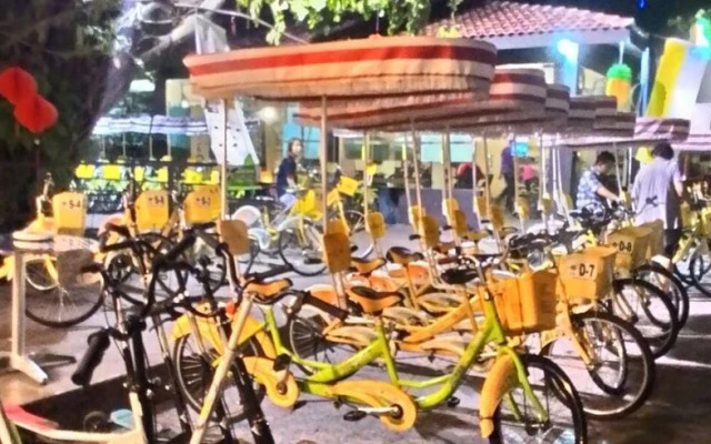 Nature Green View 10 PAX 833