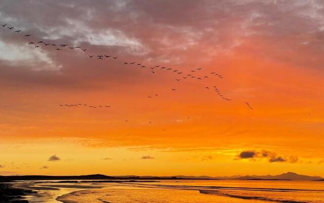 Kirkapol Beach Pod - Flow