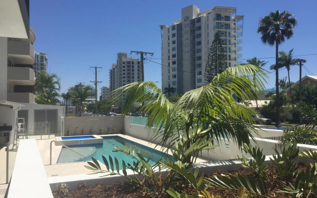 Verve on Cotton Tree