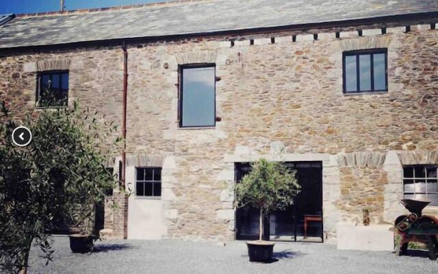 Anrán at Tidwell Farm