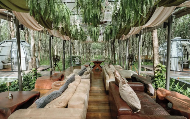 Timber Society Boutique Hideaway