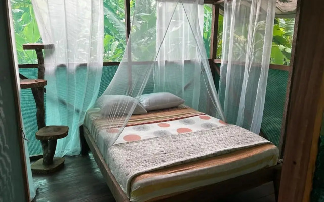 Rio Agujitas Eco Farm Hostel and Tours