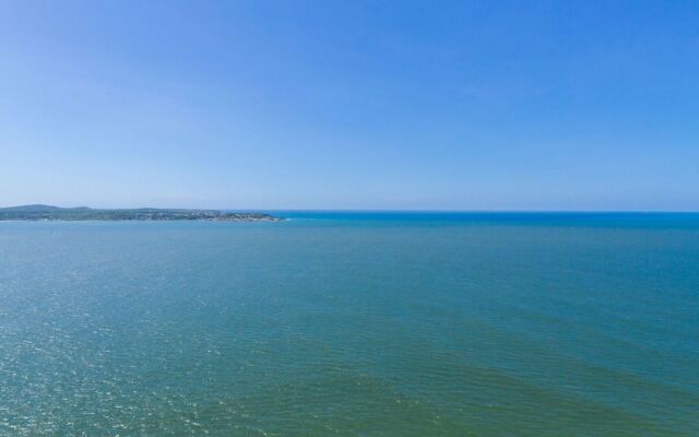 Palmetto Sunset by Nomad Guru