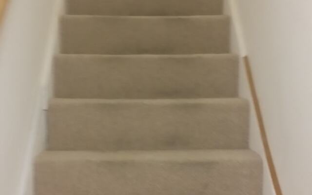 Stunning Apartment In London Tottenham