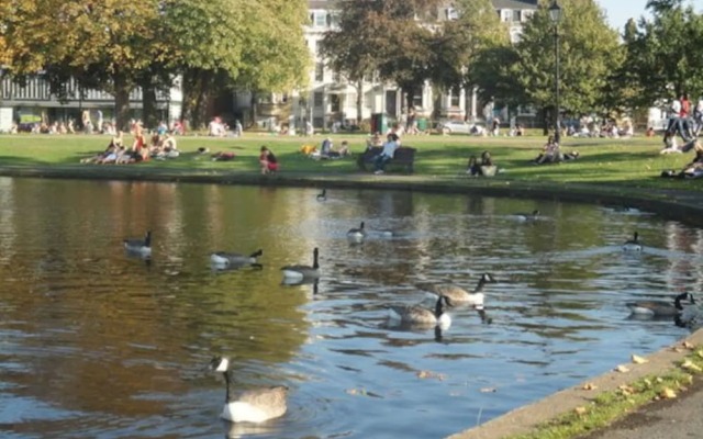 Stunning 1 Bedroom Flat in Amazing Location