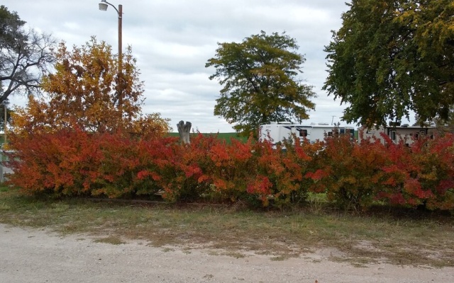 Meadow Park Motel & RV Park