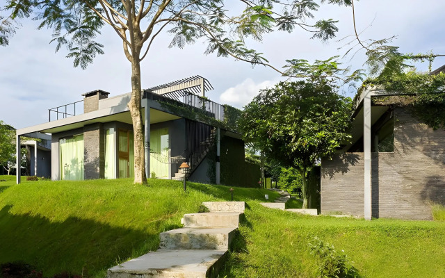 Tea Garden Resort