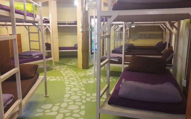 Purple Monkey Backpackers
