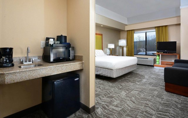 SpringHill Suites by Marriott Lynchburg Airport/University Area