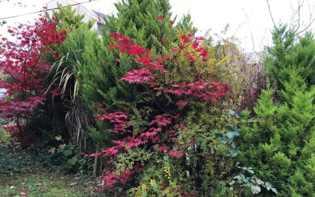 Queens Road Rental - Winchester Accommodation