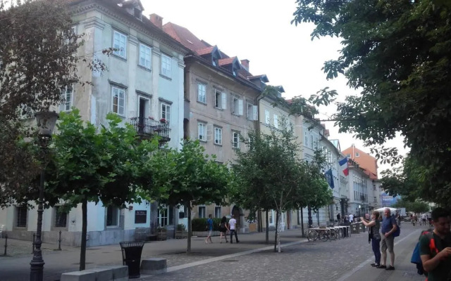 Codelli Deluxe City Centre Apartments