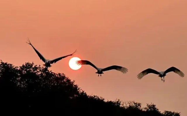 Xianghai Huanlangyu homestay