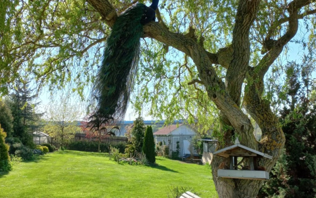 Paradise villa apartment