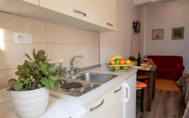 Studio apartman Tasha
