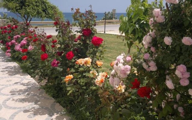 Asterina Seaside Apartments