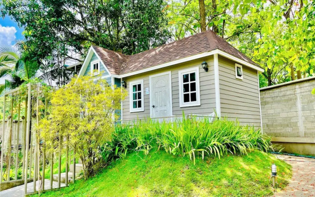 Tree Scape Mountain View Resort