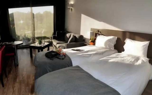 Hotel Eden Park