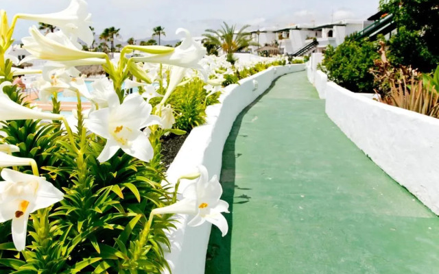 2 Bedroom Condo 02136063 by HomeRez