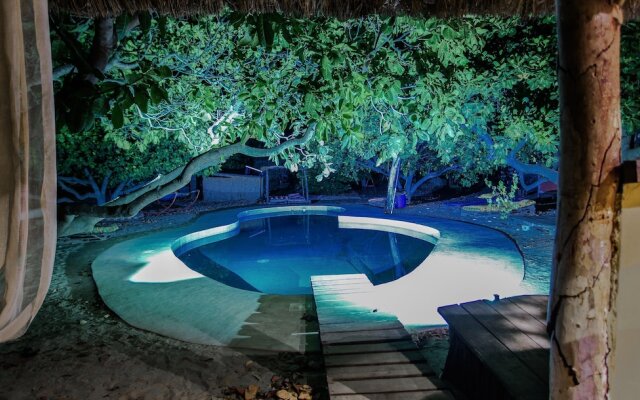 Bonobo Lodge