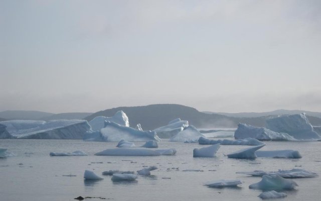 Wildberry Country Lodge B&B