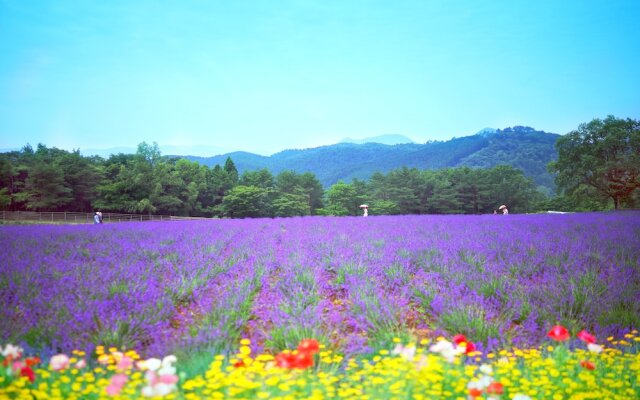 Menard Aoyama Resort Hotel Schönvert