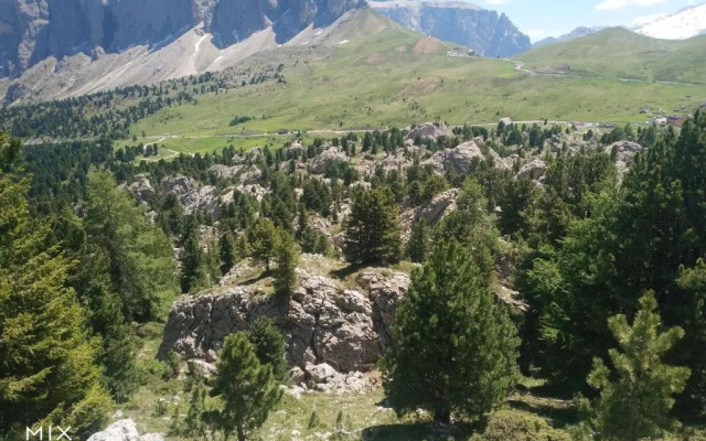 Apartment Cater Residence Bun Ste