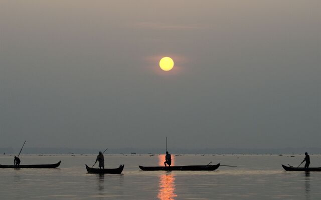 Purity at Lake Vembanad