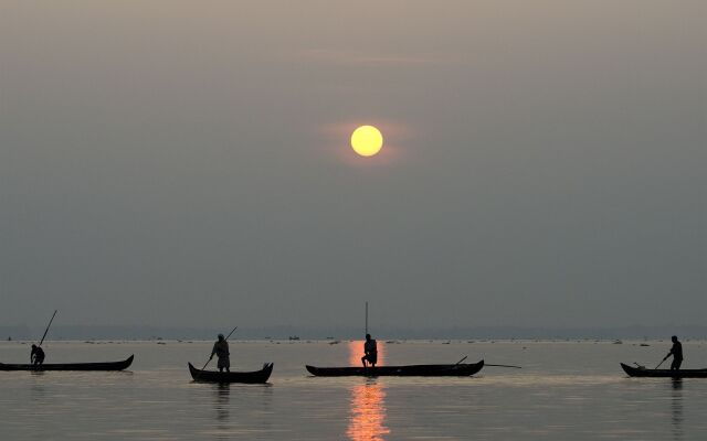 Purity at Lake Vembanad