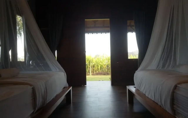Emir surfcamp