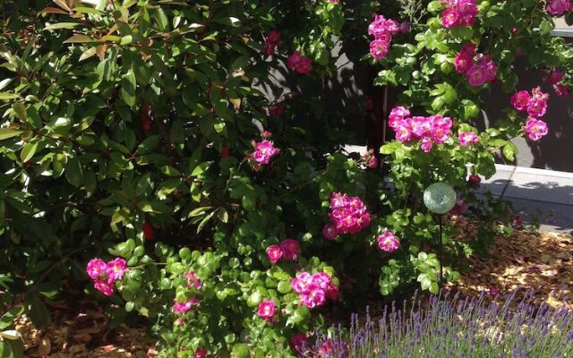 WohnRaum Hotel & Gästehaus