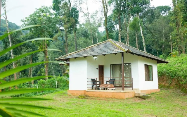 Room in Guest Room - The Nest Bettathur Coorg - ct No 002