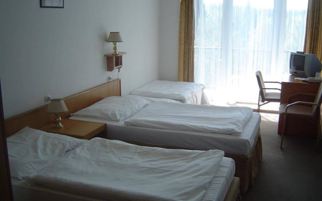 Hotel Medlov