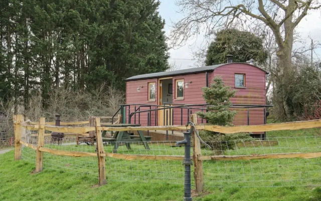 The Shire Hut