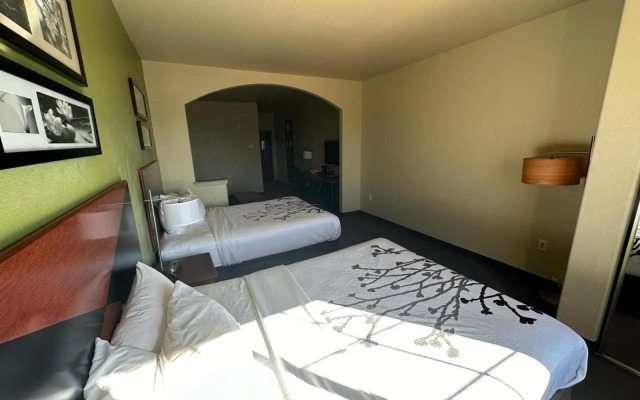 Sleep Inn & Suites at Six Flags