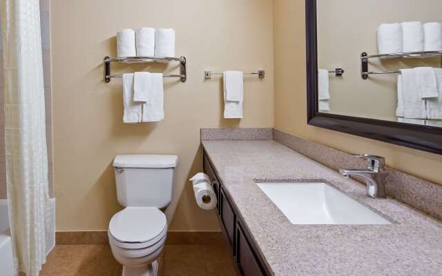 Best Western Plus Addison/Dallas Hotel