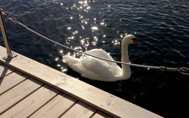 The Goose Modern Retreat