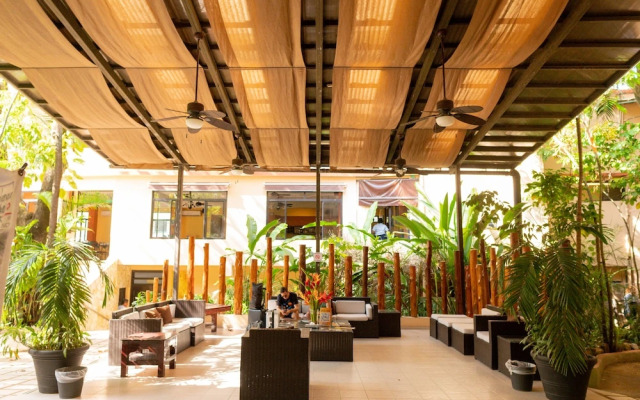 Maya Tulipanes Express