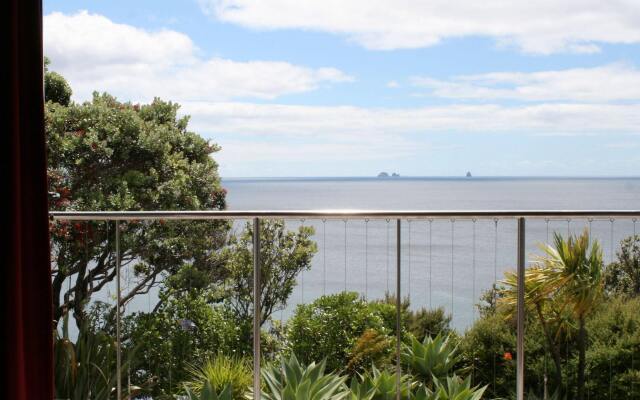 The Lighthouse Lookout