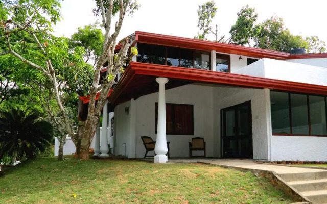 Granny’s Forest Lodge