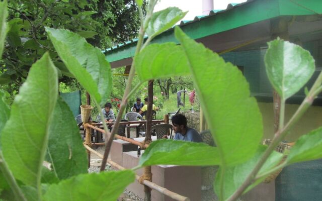 Manali top Inn & Cafe