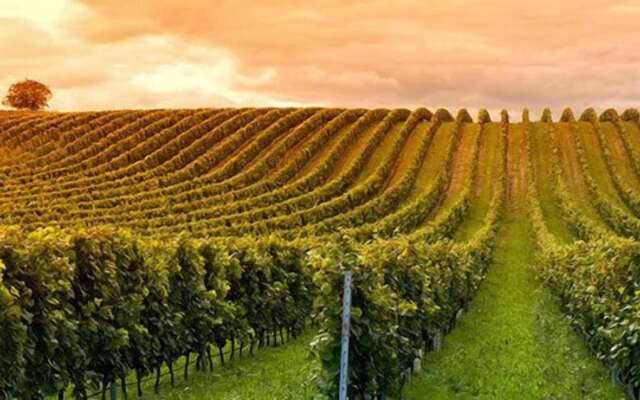 The Grand Hotel - Salem