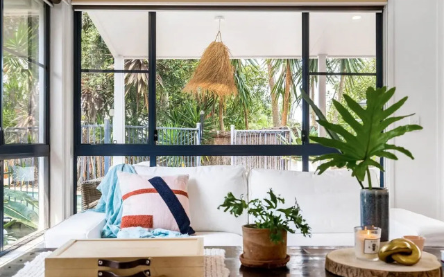 Bangalow Palms