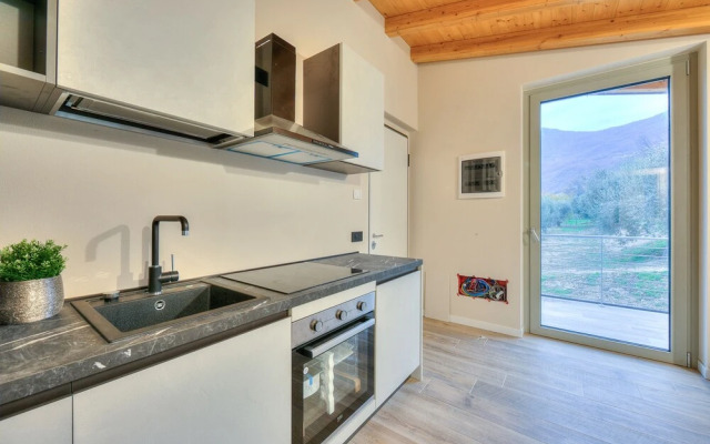 Ricomilla-ulivo -balcony, Garden & Privat