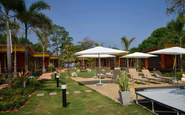 The Toy Art Resort