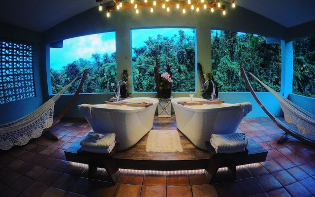 Rainforest Inn