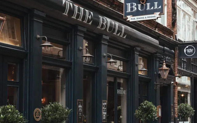 The Bull