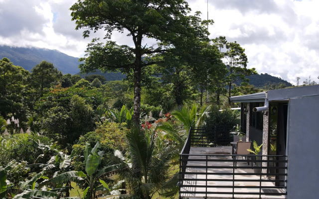 Rio Celeste Nature View