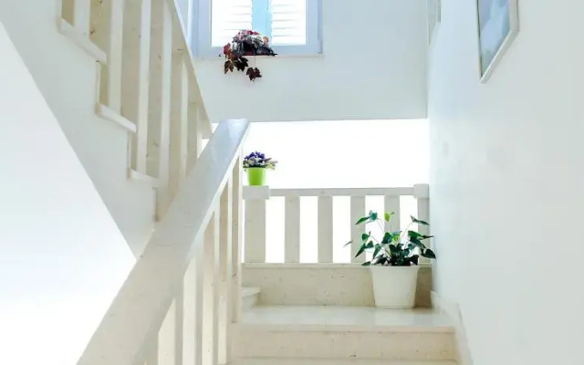 Apartmani More