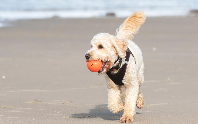 Holiday Inn Express Hilton Head Island by IHG